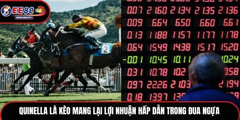Quinella là kèo mang lại lợi nhuận hấp dẫn trong đua ngựa