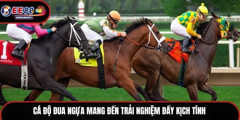 Cá độ đua ngựa mang đến trải nghiệm đầy kịch tính