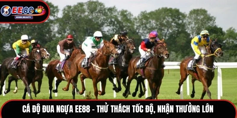cá độ đua ngựa